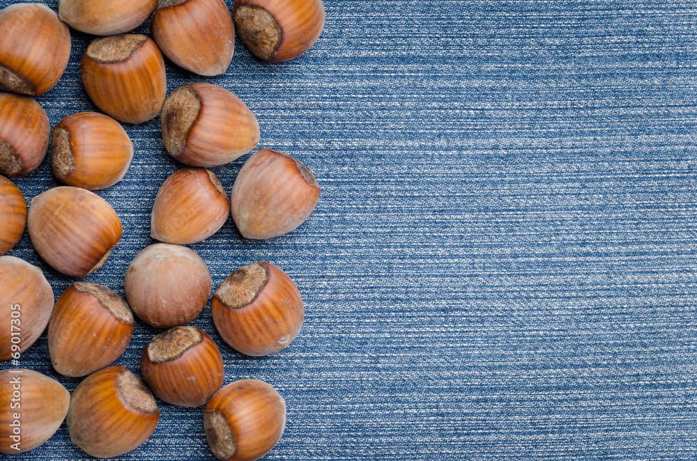 Obraz premium hazelnut