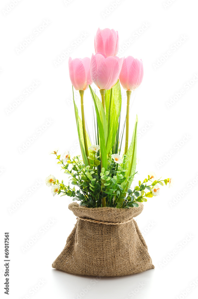 Obraz premium Tulips flower