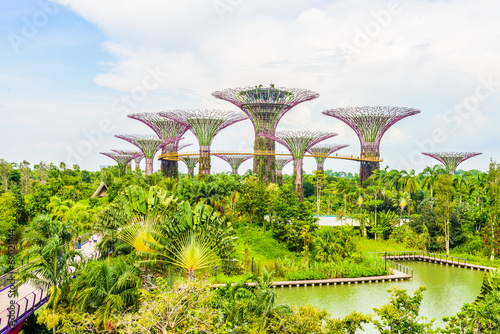 Garden by the bay