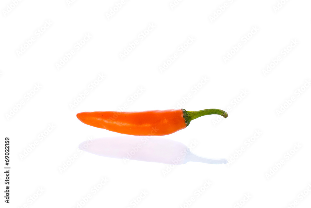 hot pepper hot pepper