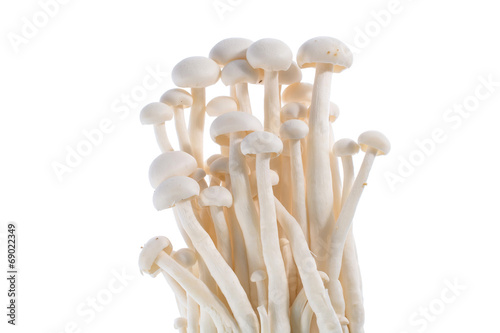 Mushrooms