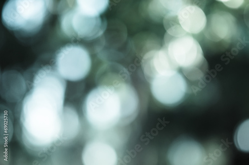beautiful green nature vintage style bokeh abstract for background