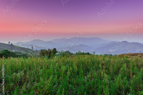 Landscape scene of mountain at dawn with beautiful sunset sky © stnazkul