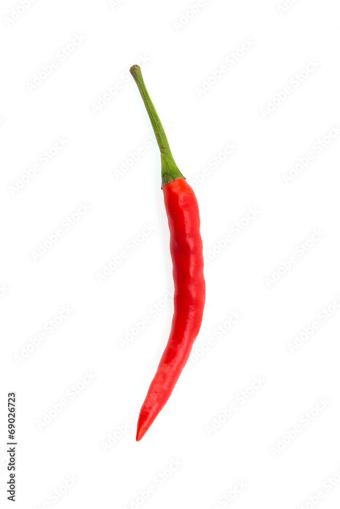 Chilli isolated on white Chilli isolated on white