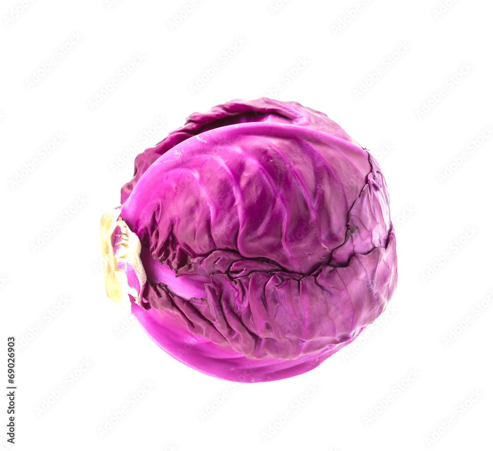 Cabbage isolated on white Cabbage isolated on white