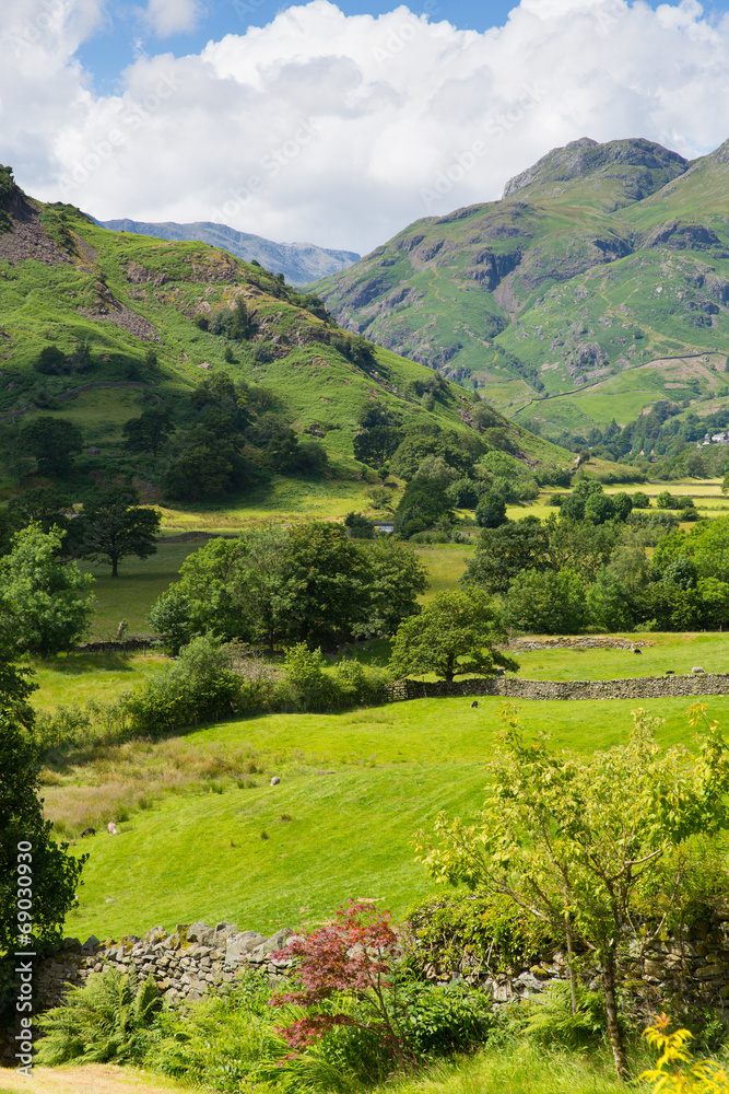 Obraz premium Langdale Valley Lake District Cumbria England UK in summer