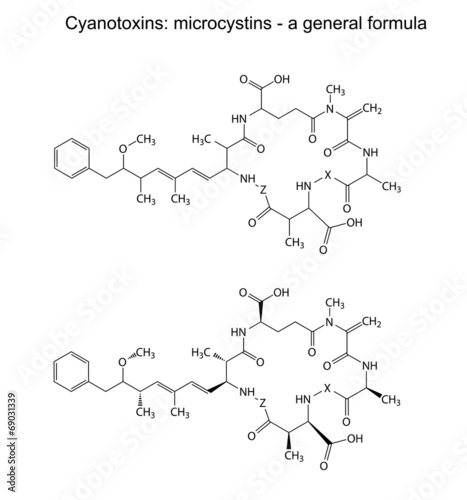 Microcystins - general chemical structural formula