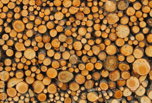 many tree trunks in the Woodshed of lumberjack who is getting re