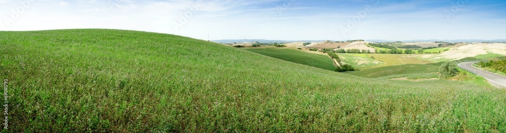 Fototapeta premium Panorama prairie toscane