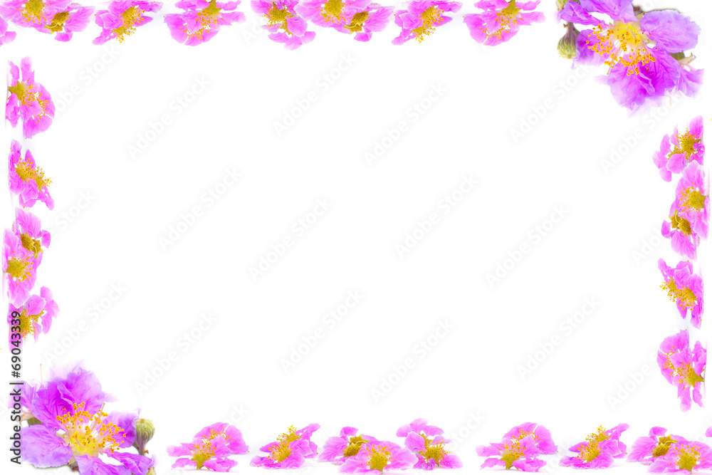 Purple flowers branches frame isolated on white background Purple flowers branches frame isolated on white background