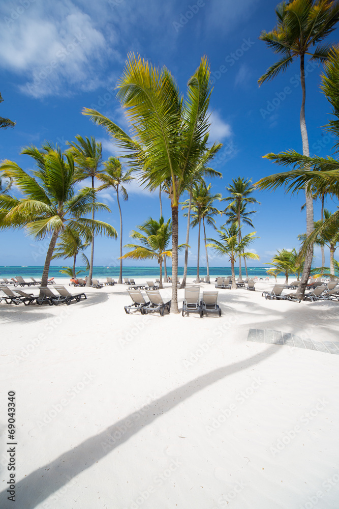 Fototapeta premium Caribbean sand beach with palm trees in Dominican Republic