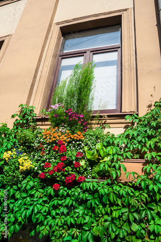 Green plants and flowers on the wall © Marina Yudicheva