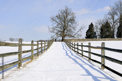 Wintry Countryside
