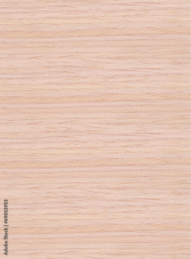 Naklejka premium Wood Texture with Bump - High Resolution Scan