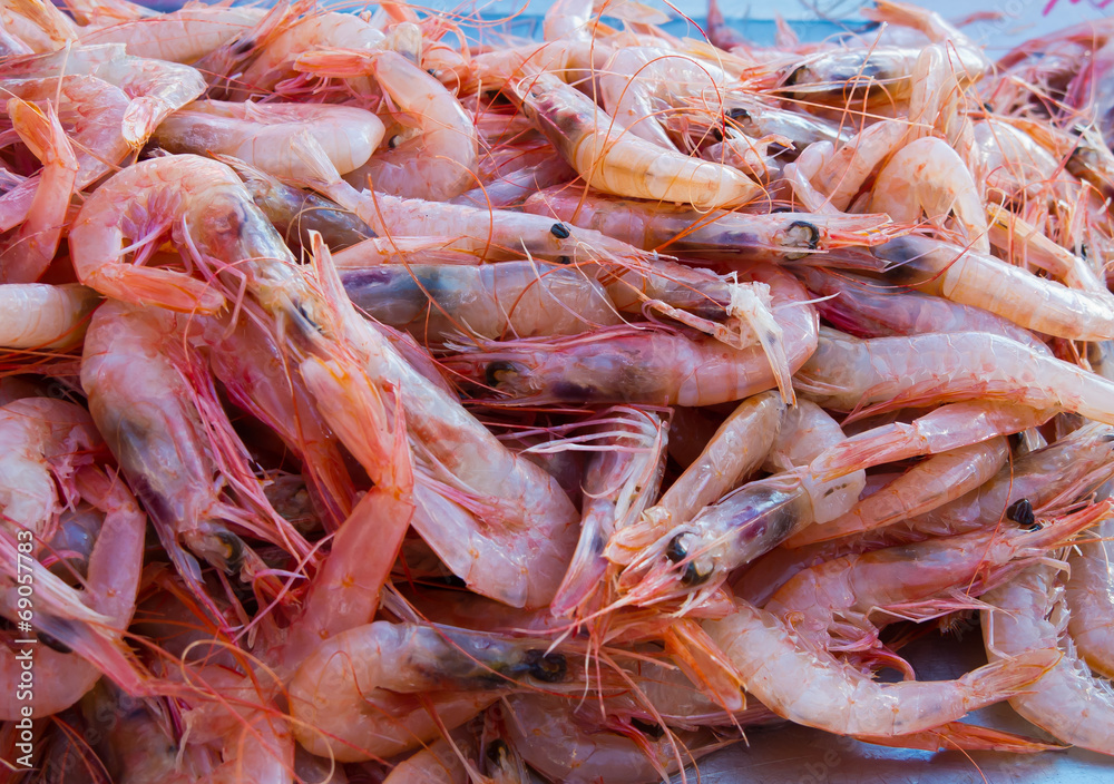 Heap of fresh drafted shrimps in a harbor.