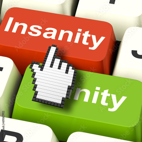 Slika na platnu Insanity Sanity Keys Shows Sane And Insane Psychology