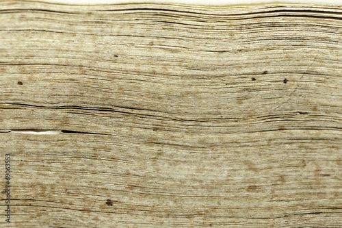 old book texture leaves