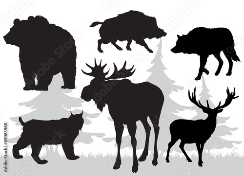 animals of the taiga vector