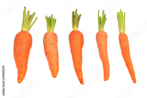 fresh baby carrot