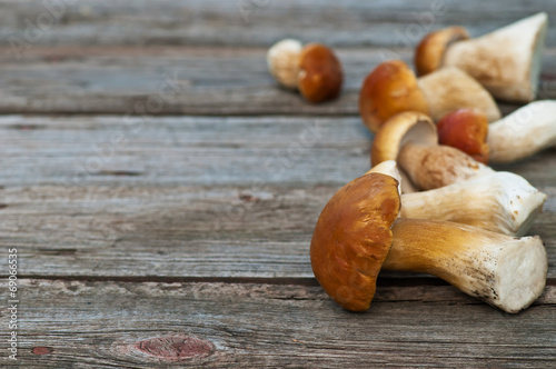 edible mushroom (cep) on the plate on wood background