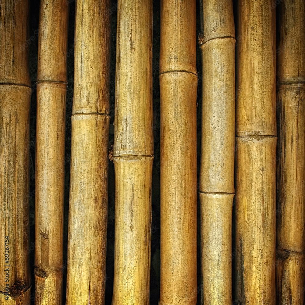 The old yellow bamboo fence background texture The old yellow bamboo fence background texture