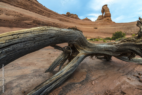 Desert Landscape Delicate Arch