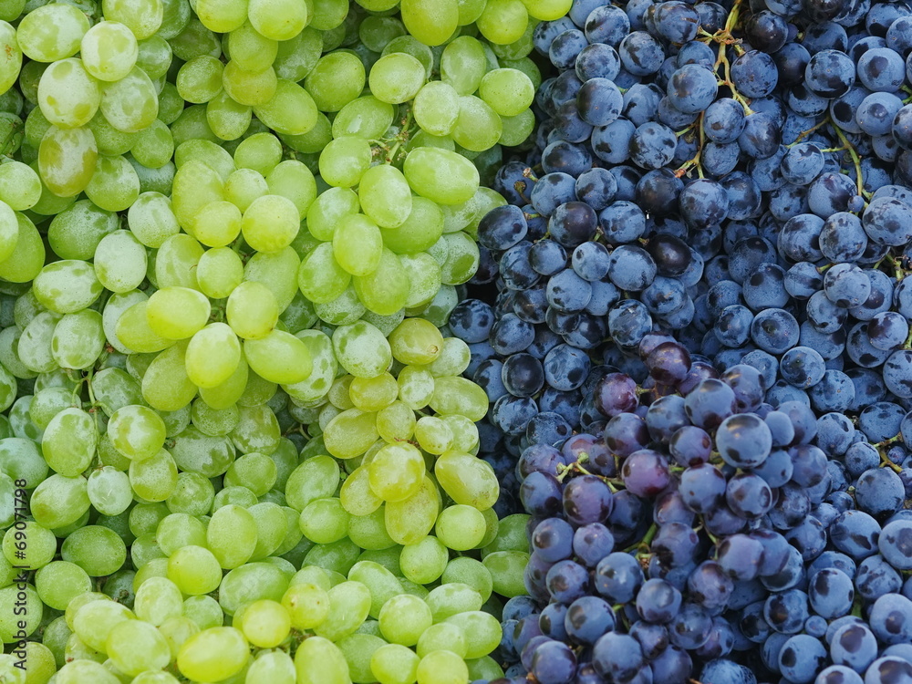 market red wine grapes