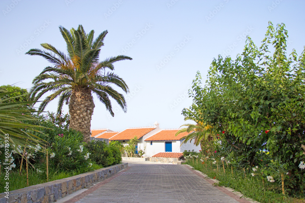 tiled road, palm and traditional greek houses