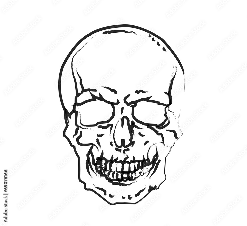 Skull Skull