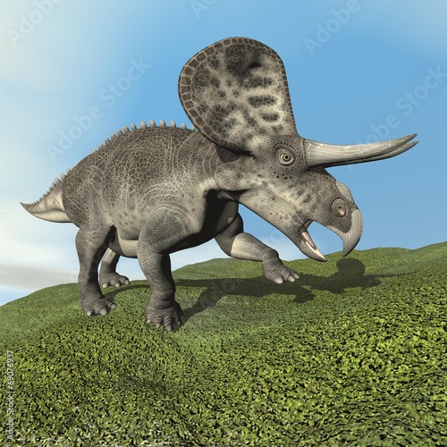 Zuniceratops dinosaur - 3D render photo