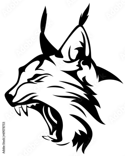 lynx head