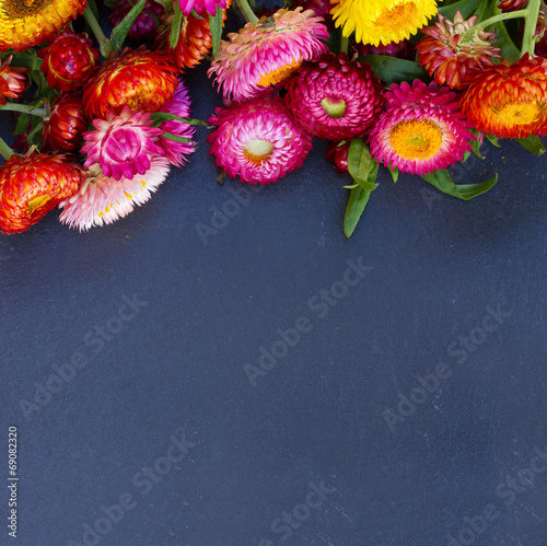 Fototapeta Naklejka Na Ścianę i Meble -  Bouquet of Everlasting flowers