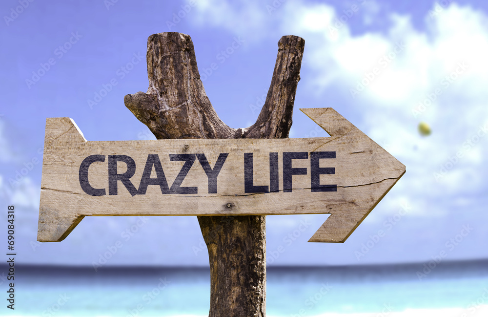 Crazy Life wooden sign with a beach on background