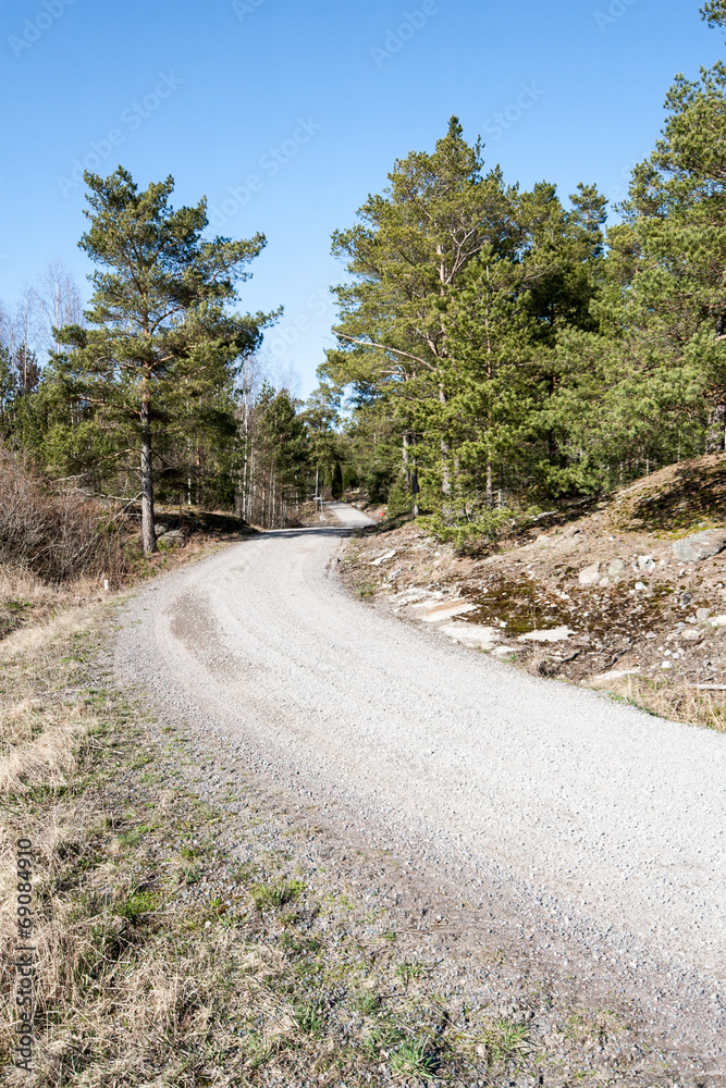 Fototapeta premium country road in forest