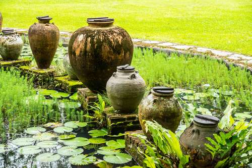 water garden