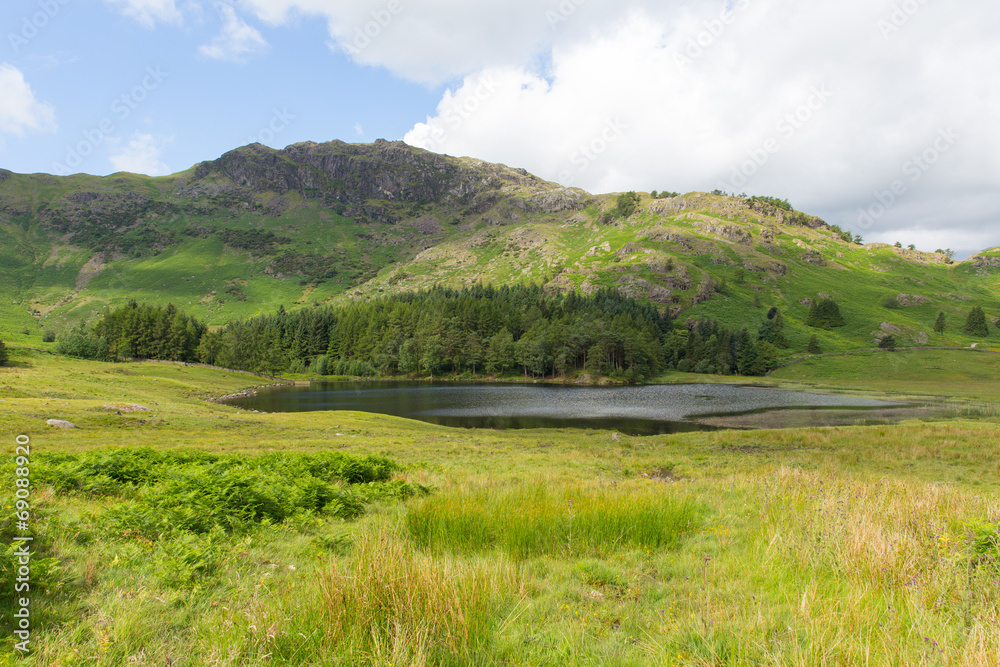 Obraz premium Blea Tarn Lake District Cumbria England UK