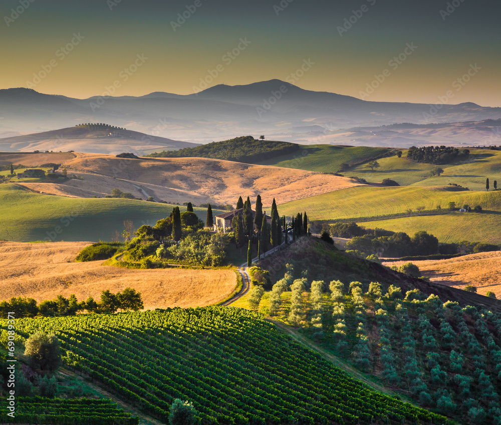 Tuscany landscape in golden morning light, Val d'Orcia, Italy
