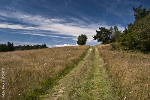 foot-path on meadow