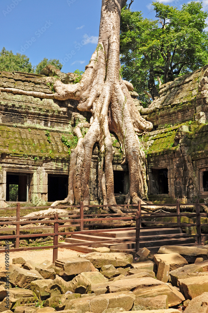 Ta Prohm temple