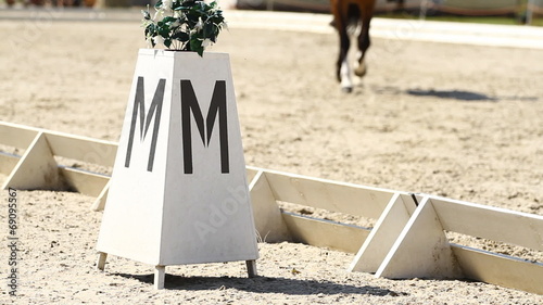 Horse Dressage Rings and rider
