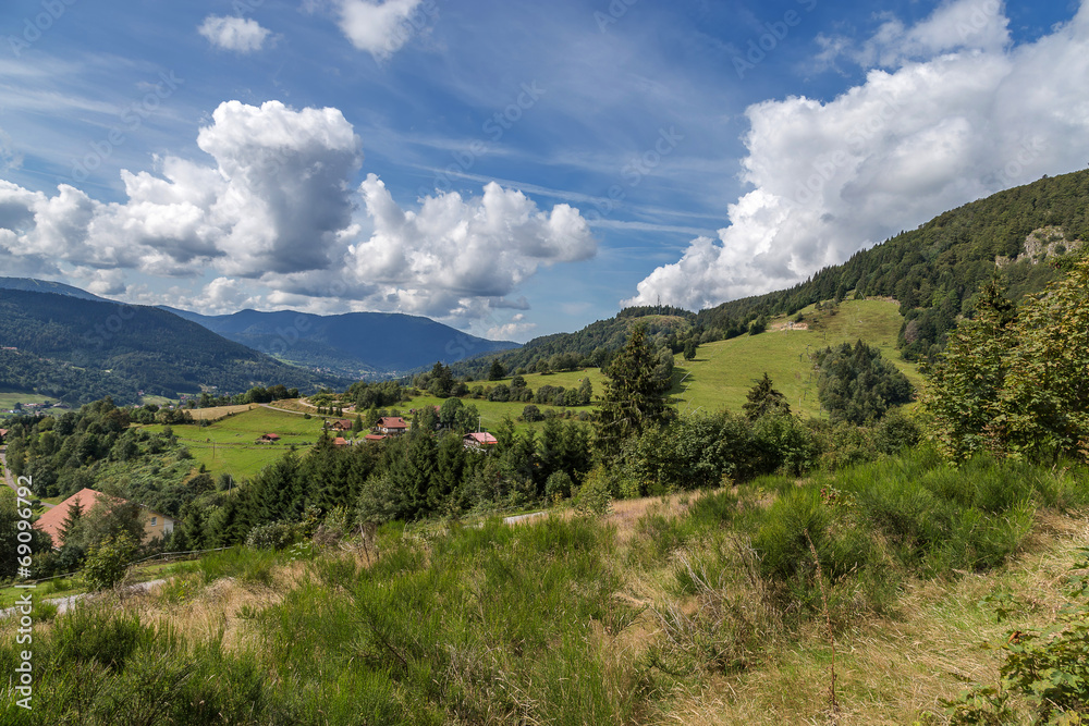 Naklejka premium paysage des Vosges