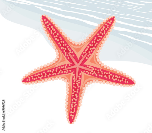 Starfish