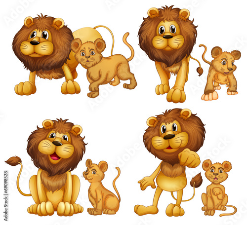 Fototapeta Naklejka Na Ścianę i Meble -  Lion set