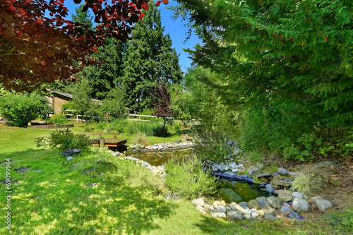 Green backyard with pond. Landscape ideas