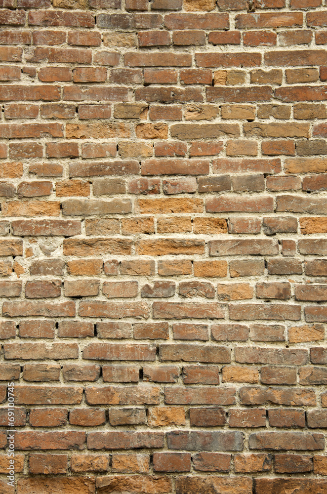 Fototapeta premium Brick wall