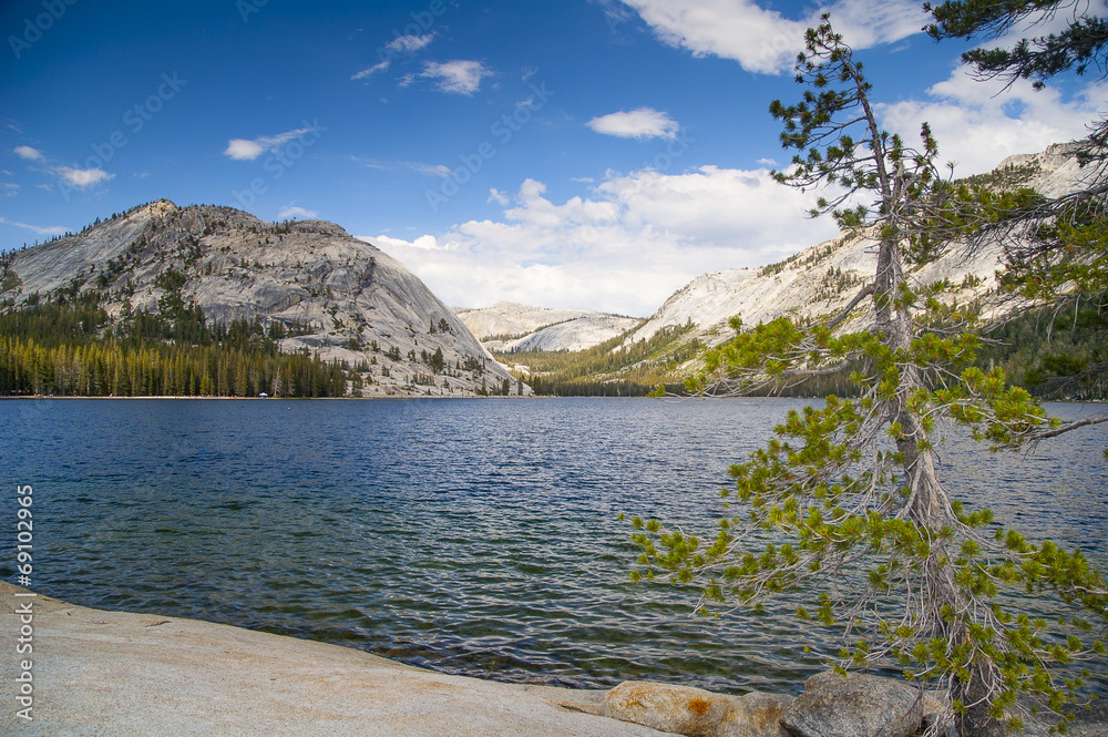 Fototapeta premium Yosemite National Park, USA