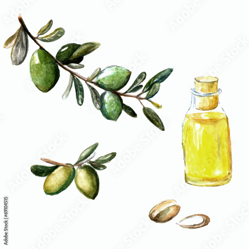 Watercolor vector illustration of argan brunch, fruits, nuts and