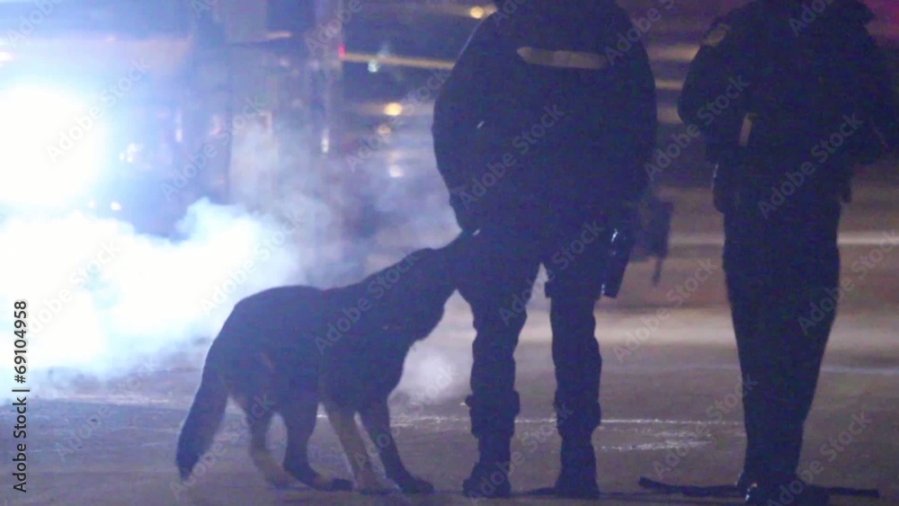 K9 unit dog playing in leashe with police officer in silhouette