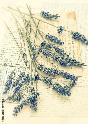 dried lavender flowers and old love letters