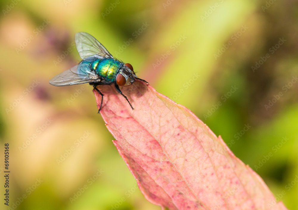 Naklejka premium At The Tip